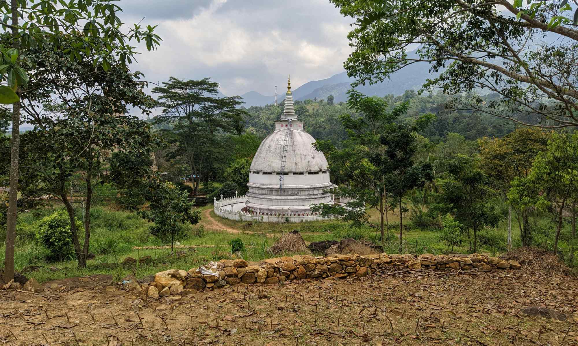 image-2000x1200-2 (1)